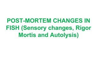 POST-MORTEM CHANGES IN
FISH (Sensory changes, Rigor
Mortis and Autolysis)
 