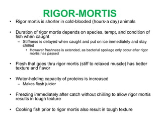 Rigor Mortis in Fish, PDF