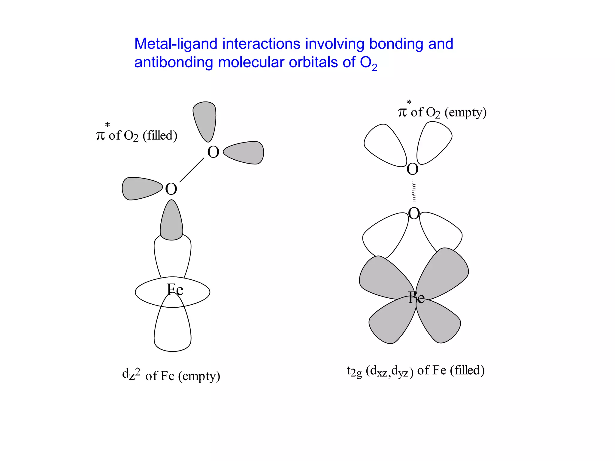 Fe
O
O
of O2 (filled)
dz2 of Fe (empty)
O
O
Fe
 of O2 (empty)
t2g (dxz,dyz) of Fe (filled)
*
*
Metal-ligand interactions involving bonding and
antibonding molecular orbitals of O2
 