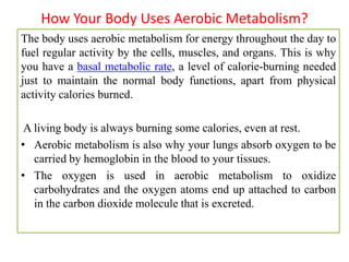 How Your Body Uses Aerobic Metabolism?
The body uses aerobic metabolism for energy throughout the day to
fuel regular activity by the cells, muscles, and organs. This is why
you have a basal metabolic rate, a level of calorie-burning needed
just to maintain the normal body functions, apart from physical
activity calories burned.
A living body is always burning some calories, even at rest.
• Aerobic metabolism is also why your lungs absorb oxygen to be
carried by hemoglobin in the blood to your tissues.
• The oxygen is used in aerobic metabolism to oxidize
carbohydrates and the oxygen atoms end up attached to carbon
in the carbon dioxide molecule that is excreted.
 