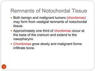Remnants of Notochordal Tissue
 Both benign and malignant tumors (chordomas)
may form from vestigial remnants of notochordal
tissue.
 Approximately one third of chordomas occur at
the base of the cranium and extend to the
nasopharynx.
 Chordomas grow slowly and malignant forms
infiltrate bone.
13
 