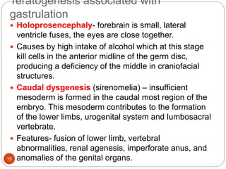 Teratogenesis associated with
gastrulation
 Holoprosencephaly- forebrain is small, lateral
ventricle fuses, the eyes are close together.
 Causes by high intake of alcohol which at this stage
kill cells in the anterior midline of the germ disc,
producing a deficiency of the middle in craniofacial
structures.
 Caudal dysgenesis (sirenomelia) – insufficient
mesoderm is formed in the caudal most region of the
embryo. This mesoderm contributes to the formation
of the lower limbs, urogenital system and lumbosacral
vertebrate.
 Features- fusion of lower limb, vertebral
abnormalities, renal agenesis, imperforate anus, and
anomalies of the genital organs.
15
 