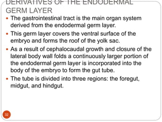 DERIVATIVES OF THE ENDODERMAL
GERM LAYER
 The gastrointestinal tract is the main organ system
derived from the endodermal germ layer.
 This germ layer covers the ventral surface of the
embryo and forms the roof of the yolk sac.
 As a result of cephalocaudal growth and closure of the
lateral body wall folds a continuously larger portion of
the endodermal germ layer is incorporated into the
body of the embryo to form the gut tube.
 The tube is divided into three regions: the foregut,
midgut, and hindgut.
32
 