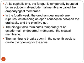  At its cephalic end, the foregut is temporarily bounded
by an ectodermal–endodermal membrane called the
oropharyngeal membrane.
 In the fourth week, the oropharngeal membrane
ruptures, establishing an open connection between the
oral cavity and the primitive gut.
 The hindgut also terminates temporarily at an
ectodermal– endodermal membrane, the cloacal
membrane.
 The membrane breaks down in the seventh week to
create the opening for the anus.
33
 