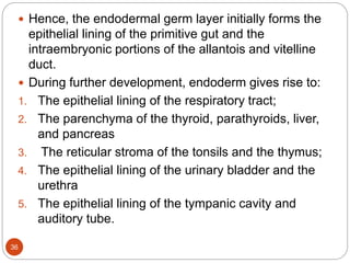  Hence, the endodermal germ layer initially forms the
epithelial lining of the primitive gut and the
intraembryonic portions of the allantois and vitelline
duct.
 During further development, endoderm gives rise to:
1. The epithelial lining of the respiratory tract;
2. The parenchyma of the thyroid, parathyroids, liver,
and pancreas
3. The reticular stroma of the tonsils and the thymus;
4. The epithelial lining of the urinary bladder and the
urethra
5. The epithelial lining of the tympanic cavity and
auditory tube.
36
 