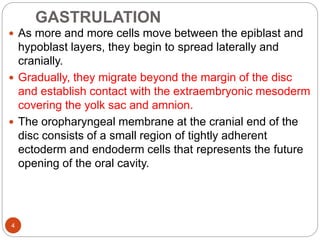 GASTRULATION
 As more and more cells move between the epiblast and
hypoblast layers, they begin to spread laterally and
cranially.
 Gradually, they migrate beyond the margin of the disc
and establish contact with the extraembryonic mesoderm
covering the yolk sac and amnion.
 The oropharyngeal membrane at the cranial end of the
disc consists of a small region of tightly adherent
ectoderm and endoderm cells that represents the future
opening of the oral cavity.
4
 