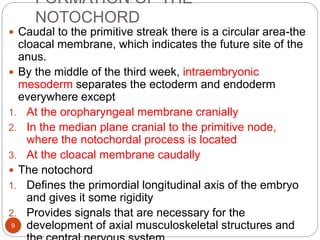 FORMATION OF THE
NOTOCHORD
 Caudal to the primitive streak there is a circular area-the
cloacal membrane, which indicates the future site of the
anus.
 By the middle of the third week, intraembryonic
mesoderm separates the ectoderm and endoderm
everywhere except
1. At the oropharyngeal membrane cranially
2. In the median plane cranial to the primitive node,
where the notochordal process is located
3. At the cloacal membrane caudally
 The notochord
1. Defines the primordial longitudinal axis of the embryo
and gives it some rigidity
2. Provides signals that are necessary for the
development of axial musculoskeletal structures and
9
 