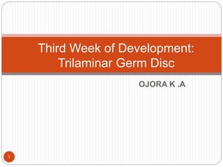 OJORA K .A
Third Week of Development:
Trilaminar Germ Disc
1
 
