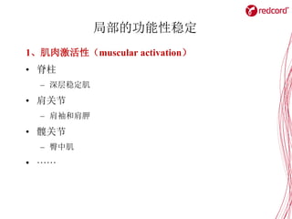 局部的功能性稳定
1、肌肉激活性（muscular activation）
• 脊柱
– 深层稳定肌
• 肩关节
– 肩袖和肩胛
• 髋关节
– 臀中肌
• ······
 
