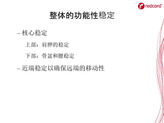 整体的功能性稳定
– 核心稳定
上部：肩胛的稳定
下部：骨盆和腰稳定
– 近端稳定以确保远端的移动性
 