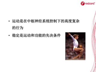 • 运动是在中枢神经系统控制下的高度复杂
的行为
• 稳定是运动和功能的先决条件
 