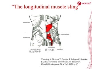 Vleeming A, Mooney V, Dorman T, Snijders
C, Stoeckart R (Eds). Movement Stability &
Low Back Pain. Churchill Livingstone, ...