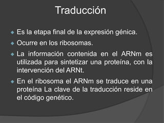 Traducción
 Es la etapa final de la expresión génica.
 Ocurre en los ribosomas.
 La información contenida en el ARNm es...