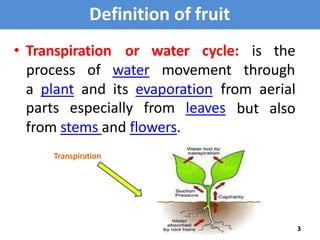 Definition of fruit
• Transpiration or water cycle:
process of water movement
is the
through
a plant and its evaporation f...