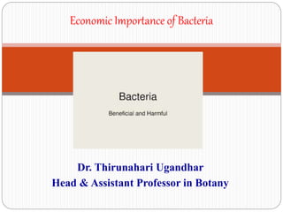 Dr. Thirunahari Ugandhar
Head & Assistant Professor in Botany
Economic Importance of Bacteria
 