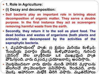  1. Role in Agriculture:
 (i) Decay and decomposition:
 Soil bacteria play an important role in brining about
decomposi...