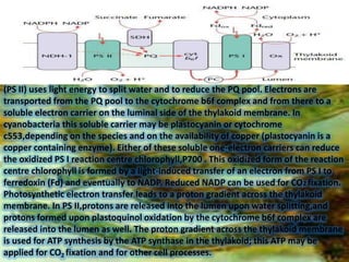 Algalization in paddy
field
(1) Increase in soil pores with having filamentous structure and
production of adhesive substa...
