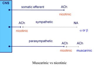 Muscarinic vs nicotinic
 