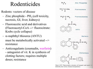 Rodenticides
Rodents: vectors of disease
– Zinc phosphide - PH3 (cell toxicity,
necrosis, GI, liver, kidneys)
– Fluoroacetic acid and derivatives
(Fluoroacetyl-CoA --> fluorocitrate:
Krebs cycle collapse)
– -naphthyl thiourea (ANTU)
must be metabolically activated -->
resistance
– Anticoagulants (coumadin, warfarin)
- antagonist of vit. K in synthesis of
clotting factors; requires multiple
doses; resistance
 