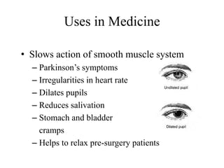 Uses in Medicine
• Slows action of smooth muscle system
– Parkinson’s symptoms
– Irregularities in heart rate
– Dilates pupils
– Reduces salivation
– Stomach and bladder
cramps
– Helps to relax pre-surgery patients
 