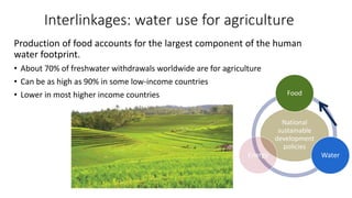 Interlinkages: water use for agriculture
Production of food accounts for the largest component of the human
water footprint.
• About 70% of freshwater withdrawals worldwide are for agriculture
• Can be as high as 90% in some low-income countries
• Lower in most higher income countries
National
sustainable
development
policies
Food
Water
Energy
 