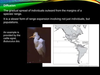 3. Dispersal (1).pptx