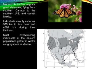 Secular Migration 3. Dispersal (1).pptx