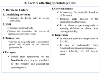 2. Factors affecting spermatogenesis
to secrete
process of
A. Hormonal Factors
1. Luteinizing hormone
 stimulates the Leydig cells
testosterone.
2. FSH
 stimulates the Sertoli cells
without this stimulation (the
spermiogenesis) will not occur.
3. Testosterone
secreted by the Leydig cells is essential for
division of the testicular
growth and
germinal cells
4. Estrogens
 formed from testosterone by the
Sertoli cells when they are stimulated
by FSH probably also essential for
spermiogenesis.
5. Growth hormone
 is necessary for metabolic functions
of the testes
 Promotes early division of the
spermatogonia themselves
 In its absence- spermatogenesis is
severely deficient or absent, thus
causing infertility.
B. Temperature
 an optimum testicular temperature is
34-35oC.
 In case of undescended testis
(cryptorchidism),nospermatogenesis
occurs, infertility b/c BT Arrests
sperm
 