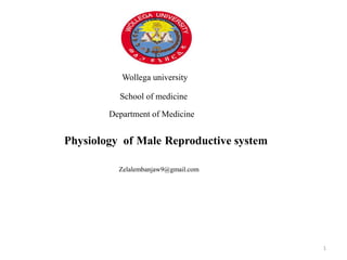 Wollega university
School of medicine
Department of Medicine
Physiology of Male Reproductive system
Zelalembanjaw9@gmail.com
1
 