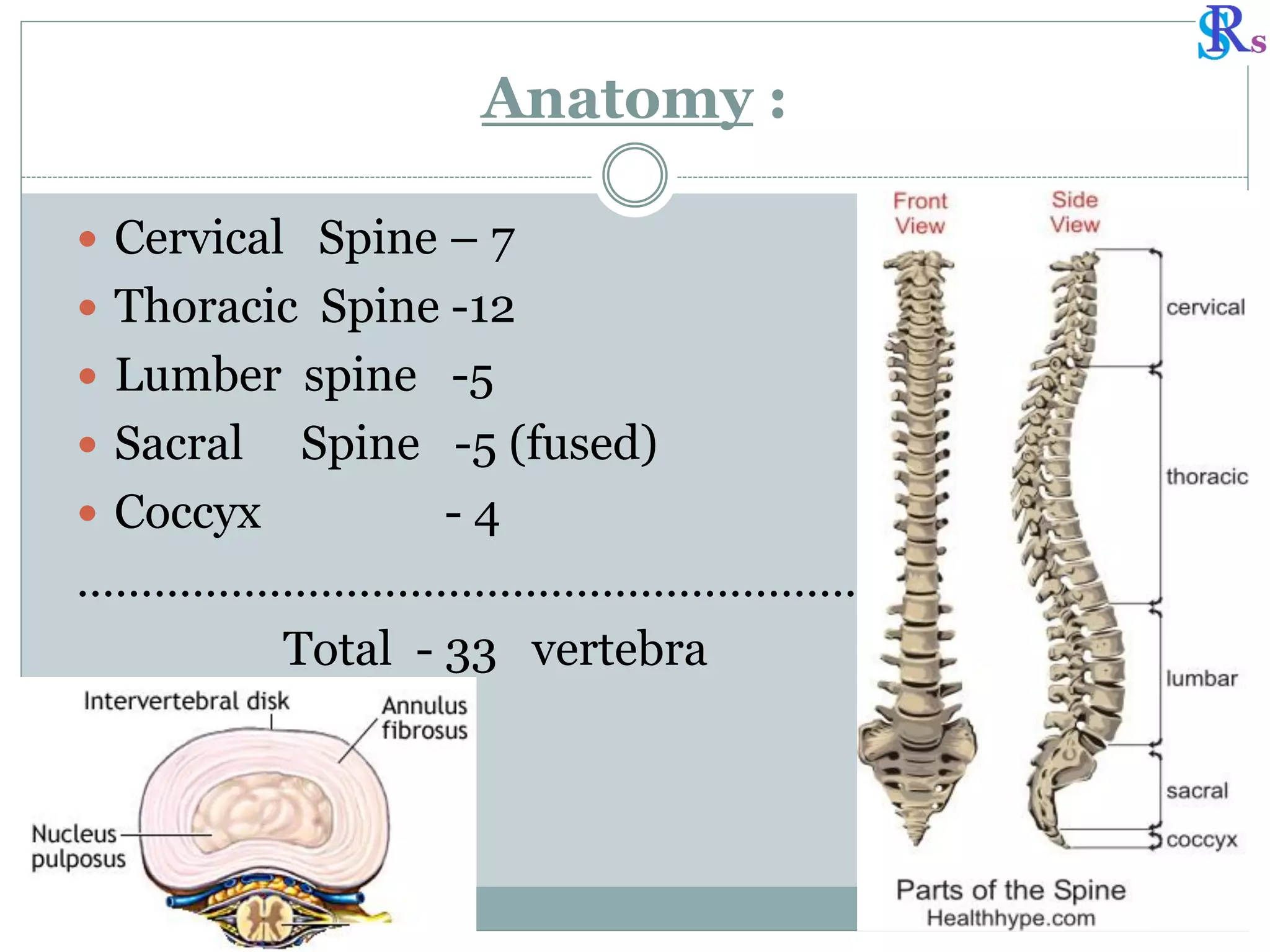Semi Rigid Spine Levels Spine disease rg evaluation.pdf