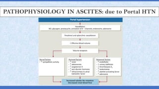PATHOPHYSIOLOGY IN ASCITES: due to Portal HTN
 