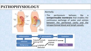 PATHOPHYSIOLOGY
Normally;
• The peritoneum behaves like a
semipermeable membrane that enables the
continuous exchange of water and solutes
between the peritoneal cavity and the
intraperitoneal blood and lymph vessels.
PATHOPHYSIOLOGY
 