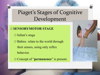 Piaget’s Stages of Cognitive
Development
O SENSORYMOTOR STAGE
O Infant’s stage
O Babies relate to the world through
their ...