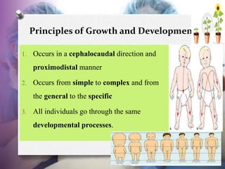 17-6
Principles of Growth and Development
1. Occurs in a cephalocaudal direction and
proximodistal manner
2. Occurs from s...