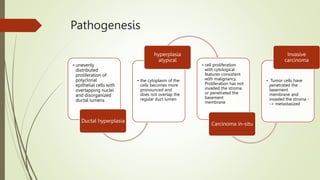 Pathogenesis
• unevenly
distributed
proliferation of
polyclonal
epithelial cells with
overlapping nuclei
and disorganized
ductal lumens
Ductal hyperplasia
• the cytoplasm of the
cells becomes more
pronounced and
does not overlap the
regular duct lumen
hyperplasia
atypical
• cell proliferation
with cytological
features consistent
with malignancy.
Proliferation has not
invaded the stroma
or penetrated the
basement
membrane
Carcinoma in-situ
• Tumor cells have
penetrated the
basement
membrane and
invaded the stroma -
-> metastasized
Invasive
carcinoma
 