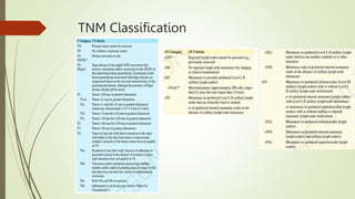 TNM Classification
 