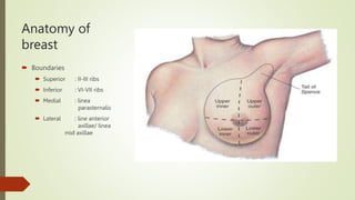 Anatomy of
breast
 Boundaries
 Superior : II-III ribs
 Inferior : VI-VII ribs
 Medial : linea
parasternalis
 Lateral : line anterior
axillae/ linea
mid axillae
 