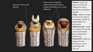 Vasos canopos
Guardan vísceras del
difunto
Cada vaso con distinta
cabeza pues cada órgano
estaba protegido por un dios
diferente
Amset: vasija con
tapa en forma de
cabeza humana,
donde se guardaba el
hígado.
Hapy: vasija con tapa
en forma de cabeza
de papión, donde se
depositaban los
pulmones.
Kebeshenuef: vasija
con tapa en forma de
cabeza de halcón,
que contenía los
intestinos.
Duamutef: vasija con
tapa en forma
de chacal, con el
estómago del
difunto.
 