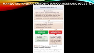 MANEJO DEL TRAUMA CRANEOENCEFÁLICO MODERADO {GCS 9-12)
 