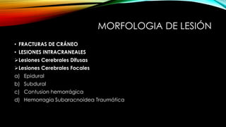MORFOLOGIA DE LESIÓN
• FRACTURAS DE CRÁNEO
• LESIONES INTRACRANEALES
Lesiones Cerebrales Difusas
Lesiones Cerebrales Focales
a) Epidural
b) Subdural
c) Contusion hemorrágica
d) Hemorragia Subaracnoidea Traumática
 