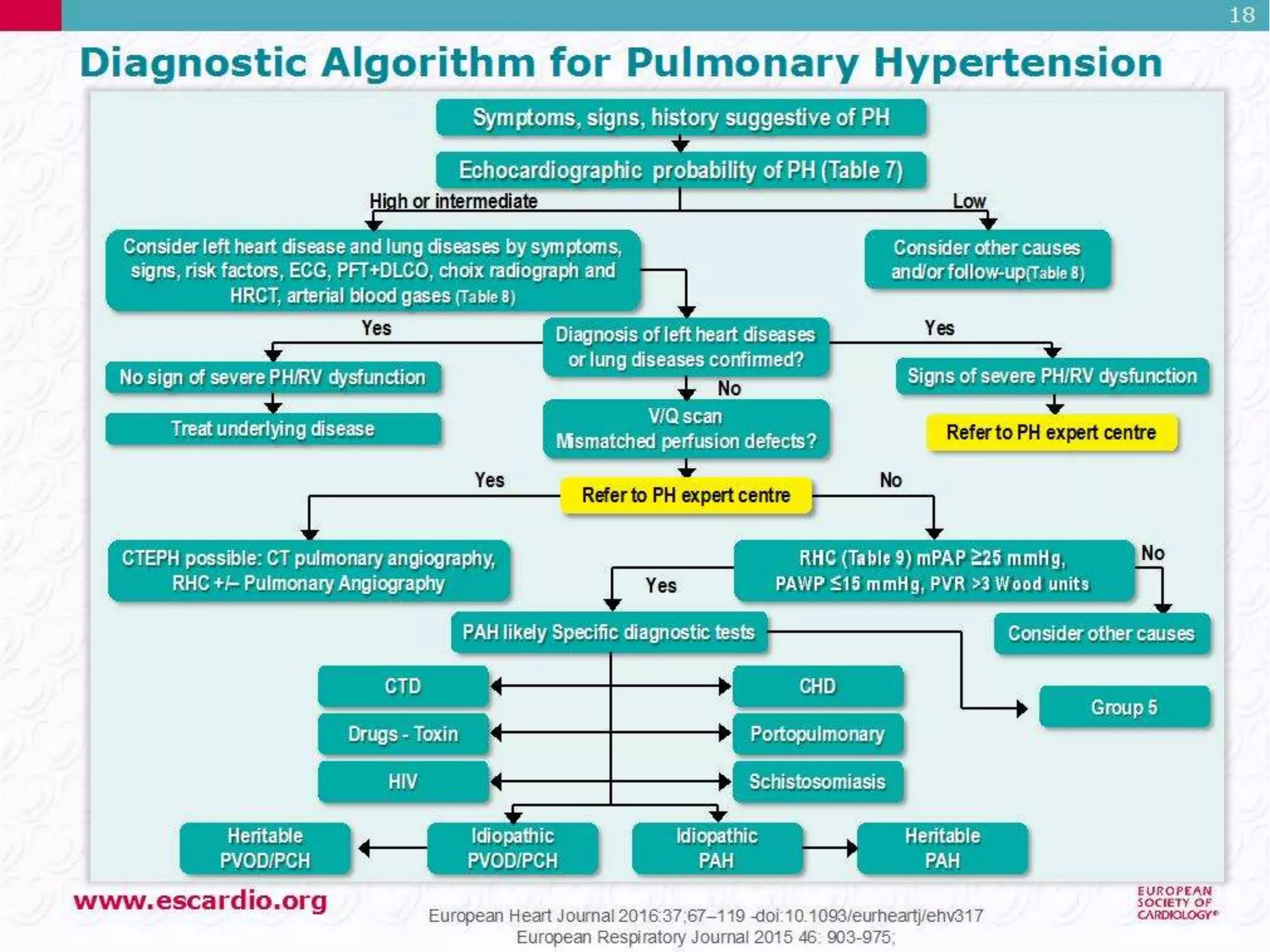 Pulmonary Hypertension: Guideline Directed Management | PPT