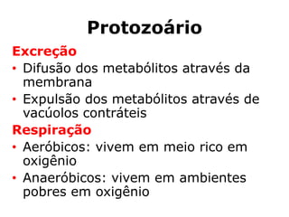 Protozoário
Excreção
• Difusão dos metabólitos através da
membrana
• Expulsão dos metabólitos através de
vacúolos contráteis
Respiração
• Aeróbicos: vivem em meio rico em
oxigênio
• Anaeróbicos: vivem em ambientes
pobres em oxigênio
 