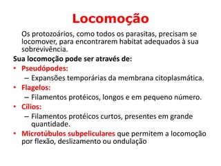 Locomoção
Os protozoários, como todos os parasitas, precisam se
locomover, para encontrarem habitat adequados à sua
sobrevivência.
Sua locomoção pode ser através de:
• Pseudópodes:
– Expansões temporárias da membrana citoplasmática.
• Flagelos:
– Filamentos protéicos, longos e em pequeno número.
• Cílios:
– Filamentos protéicos curtos, presentes em grande
quantidade.
• Microtúbulos subpeliculares que permitem a locomoção
por flexão, deslizamento ou ondulação
 
