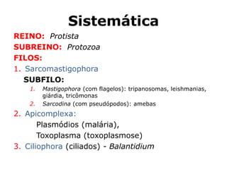 Sistemática
REINO: Protista
SUBREINO: Protozoa
FILOS:
1. Sarcomastigophora
SUBFILO:
1. Mastigophora (com flagelos): tripanosomas, leishmanias,
giárdia, tricômonas
2. Sarcodina (com pseudópodos): amebas
2. Apicomplexa:
Plasmódios (malária),
Toxoplasma (toxoplasmose)
3. Ciliophora (ciliados) - Balantidium
 