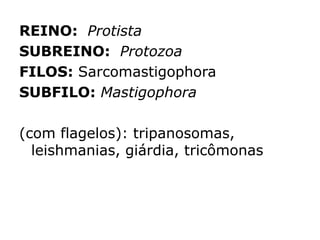 REINO: Protista
SUBREINO: Protozoa
FILOS: Sarcomastigophora
SUBFILO: Mastigophora
(com flagelos): tripanosomas,
leishmanias, giárdia, tricômonas
 