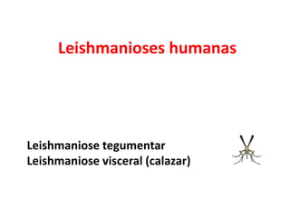 Leishmanioses humanas
Leishmaniose tegumentar
Leishmaniose visceral (calazar)
 