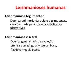 Leishmanioses humanas
Leishmaniose tegumentar
Doença polimorfa da pele e das mucosas,
caracterizada pela presença de lesões
ulcerativas
Leishmaniose visceral
Doença generalizada de evolução
crônica que atinge as visceras: baço,
fígado e medula óssea.
 