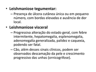 • Leishmaniose tegumentar:
– Presença de úlcera cutânea única ou em pequeno
número, com bordas elevadas e ausência de dor
local.
• Leishmaniose visceral
– Progressiva alteração do estado geral, com febre
intermitente, hepatomegalia, esplenomegalia,
adenomegalia generalizada, palidez e caquexia,
podendo ser fatal.
– Cão, além desses sinais clínicos, podem ser
observados descamação da pele e crescimento
progressivo das unhas (ornicogrifose).
 