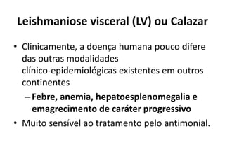 Leishmaniose visceral (LV) ou Calazar
• Clinicamente, a doença humana pouco difere
das outras modalidades
clínico-epidemiológicas existentes em outros
continentes
–Febre, anemia, hepatoesplenomegalia e
emagrecimento de caráter progressivo
• Muito sensível ao tratamento pelo antimonial.
 