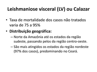 Leishmaniose visceral (LV) ou Calazar
• Taxa de mortalidade dos casos não tratados
varia de 75 a 95%
• Distribuição geográfica:
– Norte da Amazônia até os estados da região
sudeste, passando pelos da região centro-oeste.
– São mais atingidos os estados da região nordeste
(97% dos casos), predominando no Ceará.
 